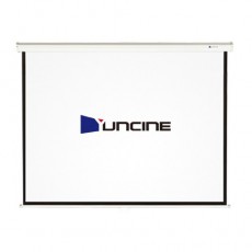 수동 벽걸이 스크린